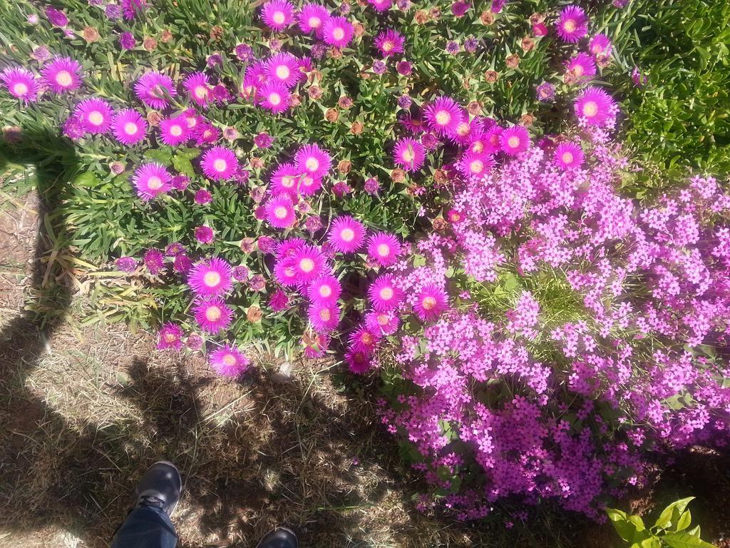 Apartmani Villa Lilliana Tribalj Esterno foto